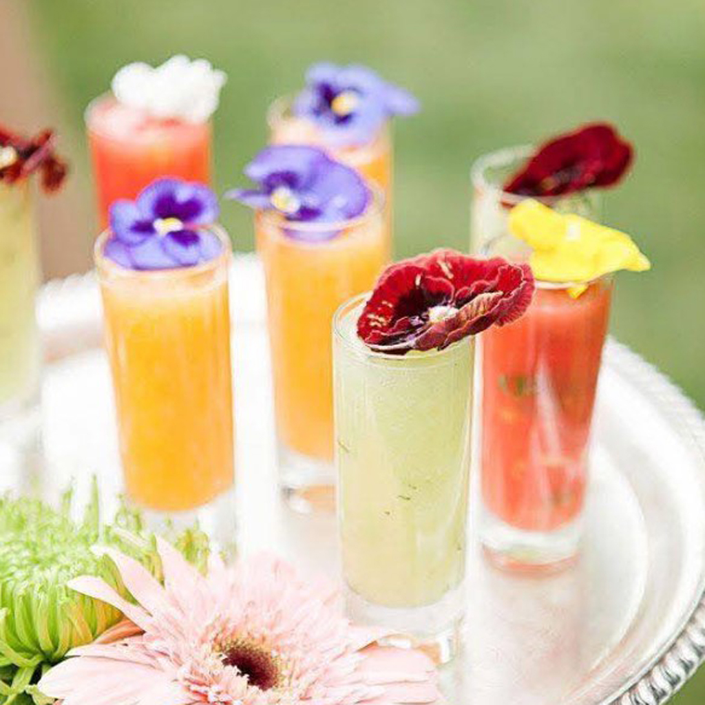 cocktails para catering aniversario